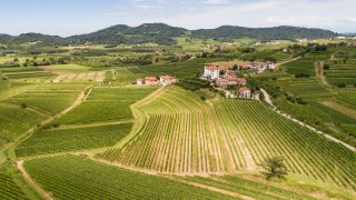 Gredic castle in Goriska Brda - tailor-made tours Slovenia Europe