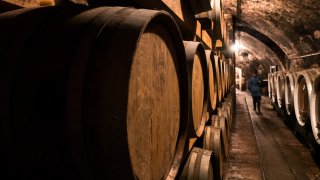wine cellar in Ilok Slavonia - Tailor-made tours Croatia Europe