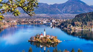 Avis voyageur O. Moro