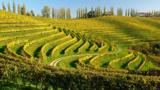 goriska brda - authentic trip Slovenia Europe