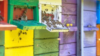  Green tourism in Slowvenia 