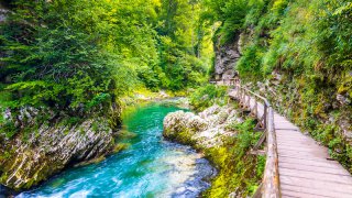 Vintgar gorge Bled - tailor-made trips Slovenia Europe