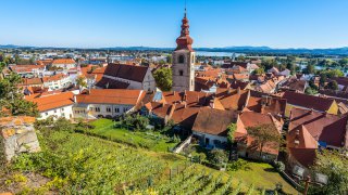 Ptuj Eastern Slovenia - tailor-made trips Slovenia Europe