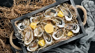Oysters Ston Dalmatia - gourmet experience Croatia Europe