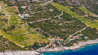 peljesac vineyards - island to island Cruise Croatia Europe