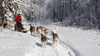 croatia and slovenia - winter fairy tale