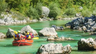 Rafting on the soca river - Wild brown bear family - Motorcyclist vineyards - outdoor activity Slovenia Europe