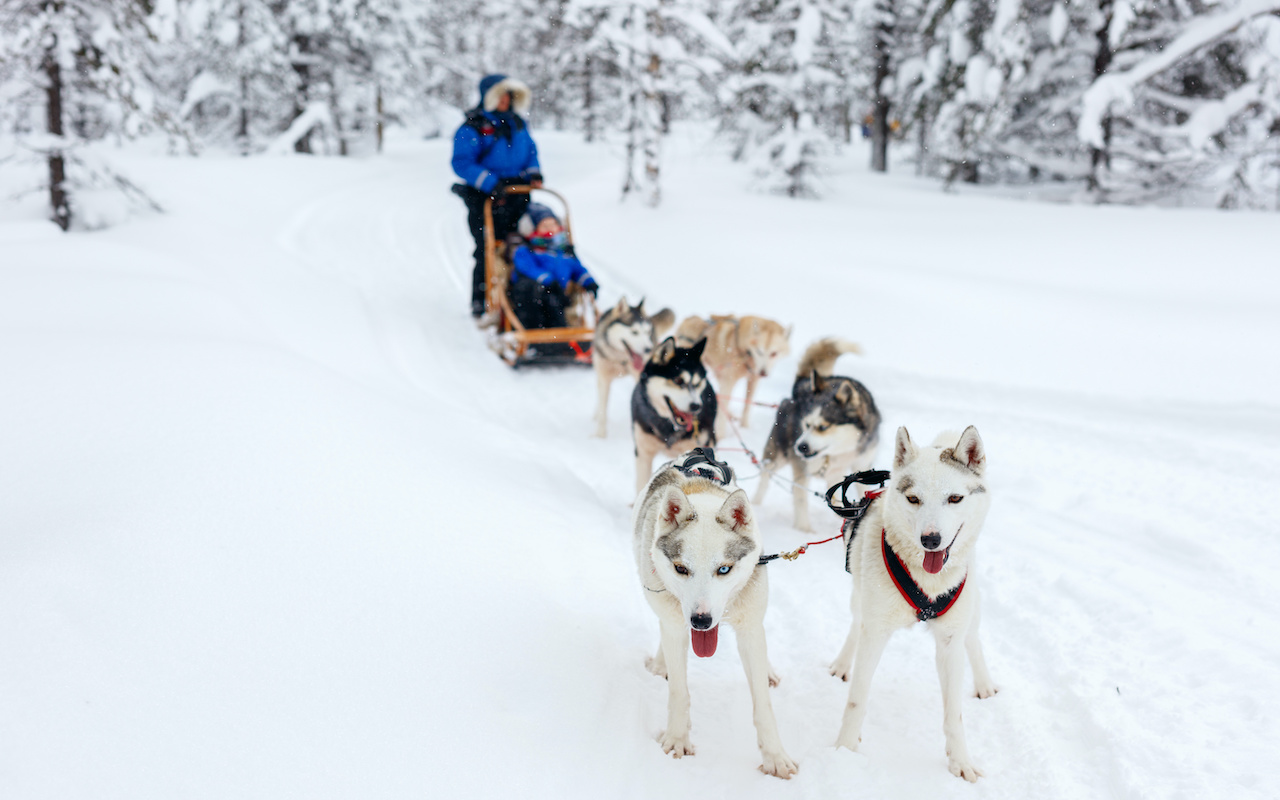 travel winter croatia slovenia - terra balka