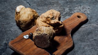 White truffle - Croatia - Travel Blog Terra Balka