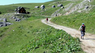 Trek in bjelasica Biogradska Gora National Park - tailor-made trips Montenegro Europe